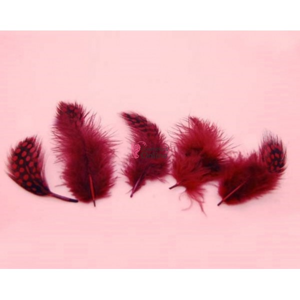 Pene pentru decor unghii Visinii, 5 bucati